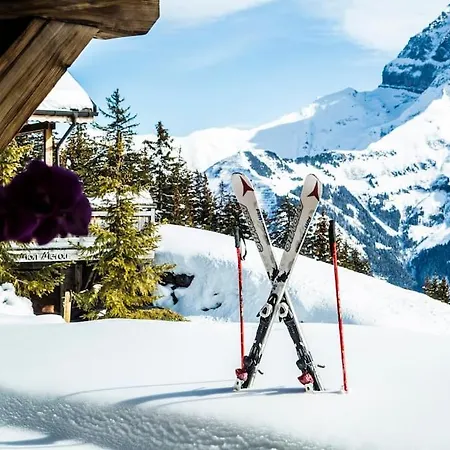 Big Luxury With Amazing View Alpstuga *