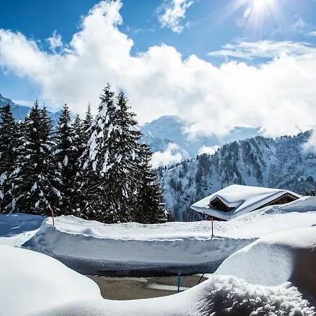 Big Luxury With Amazing View Alpehytte *